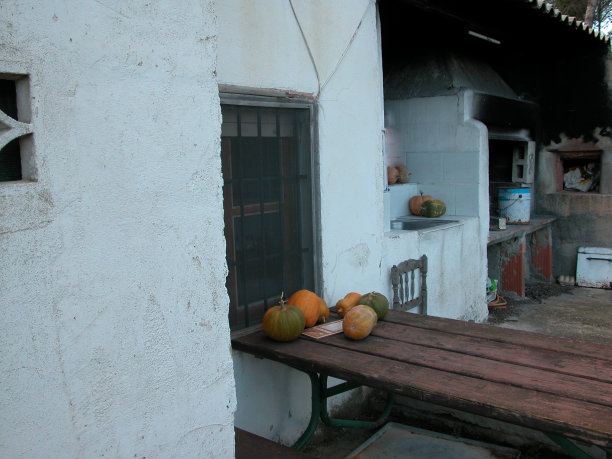 在西班牙收割南瓜图片下载