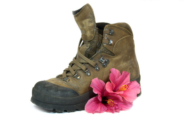 红色花的棕色靴子图片下载