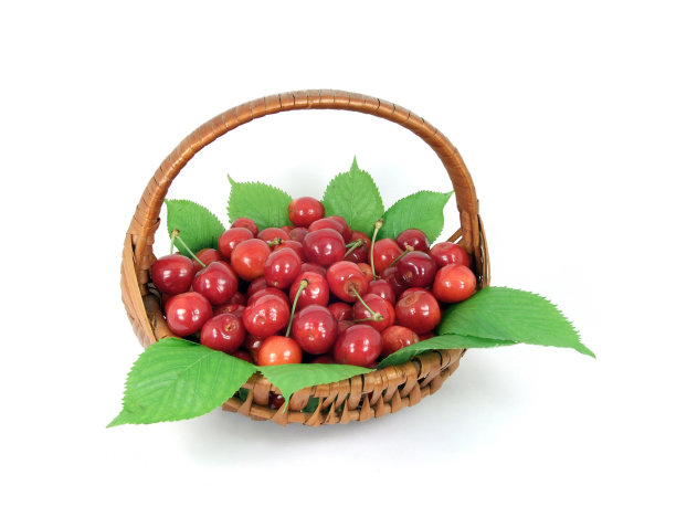 篮子里的樱桃图片下载