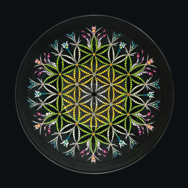 花的生活图片下载