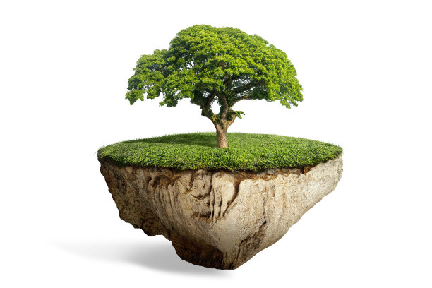 幻想浮岛上有天然孤独的树在礁石上图片下载