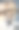 海洋公司的狗图片下载