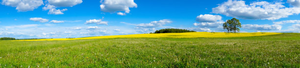 美丽的夏天的风景图片下载