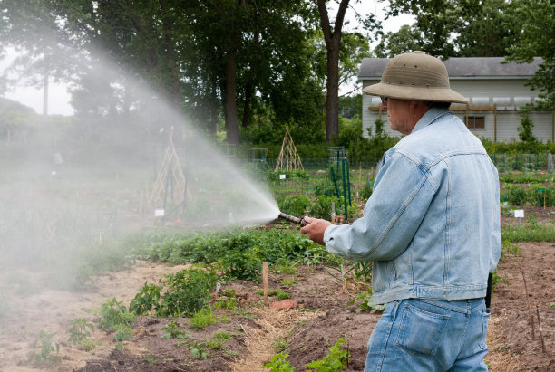 给花园浇水图片下载