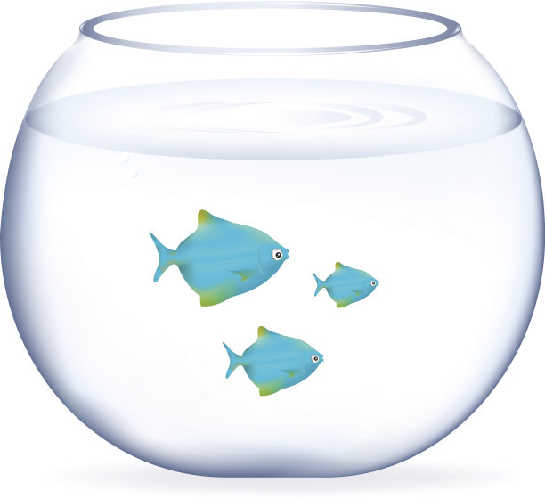 水族馆里的蓝鱼图片下载