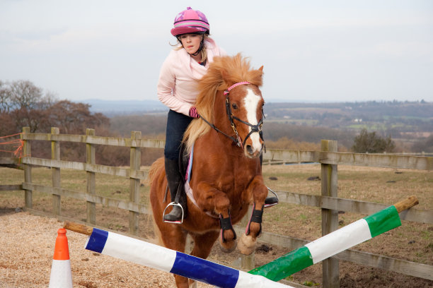 漂亮女孩在竞技场跳她的小马。图片下载