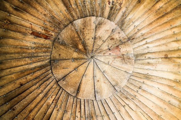 有leaves图片下载