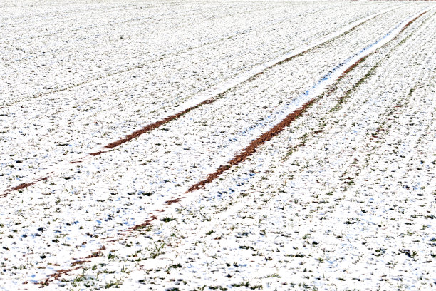 冬季雪地上的轮胎痕迹图片下载