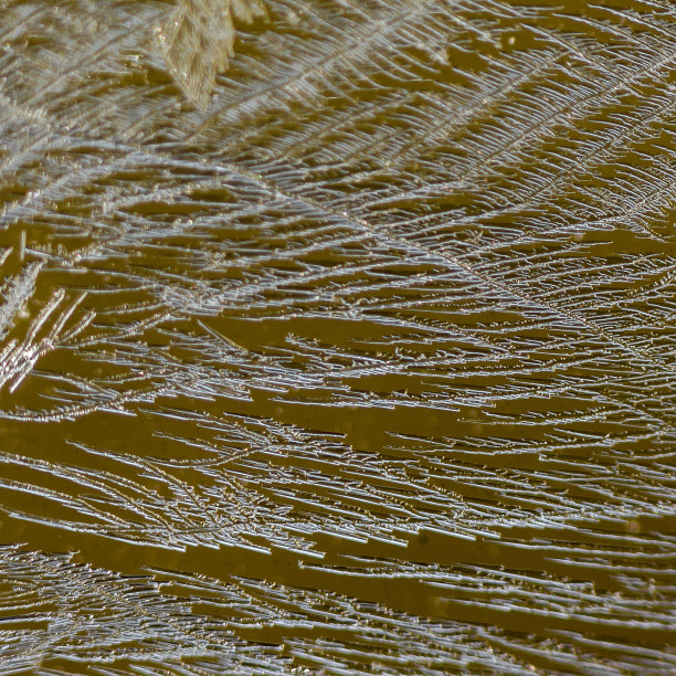 窗户上的冰晶图片下载