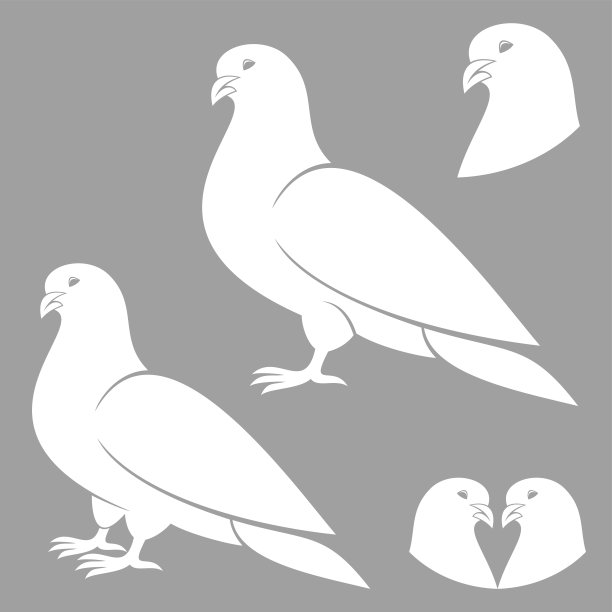 在哪里图片下载