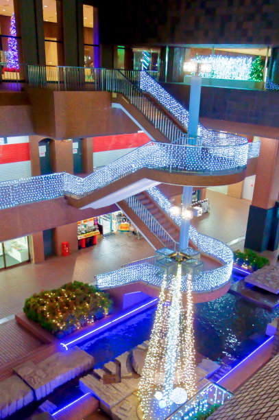 圣诞节的照片图片下载