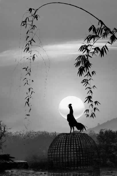 黎明合唱图片下载