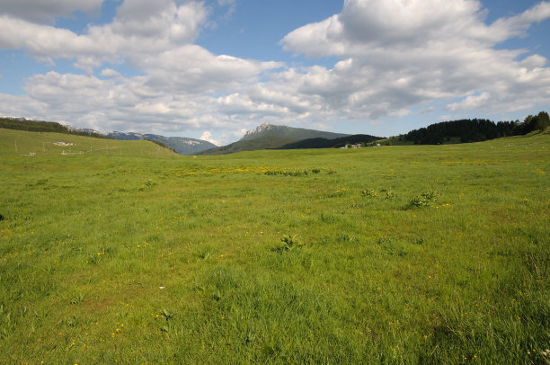 普拉托图片下载