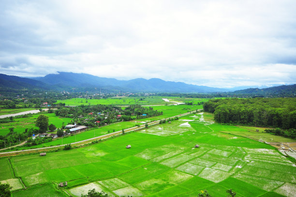 湄洪山的梯田图片下载