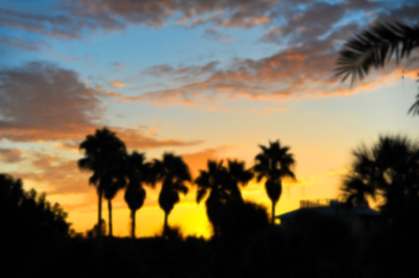 海滩日出的背景图片图片下载