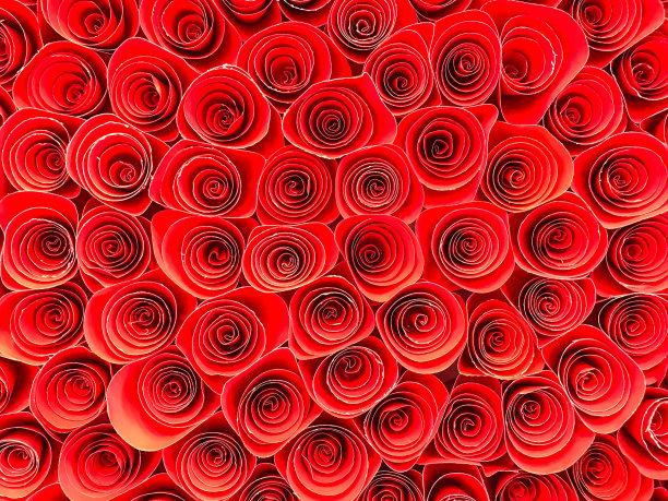 红纸花图片下载