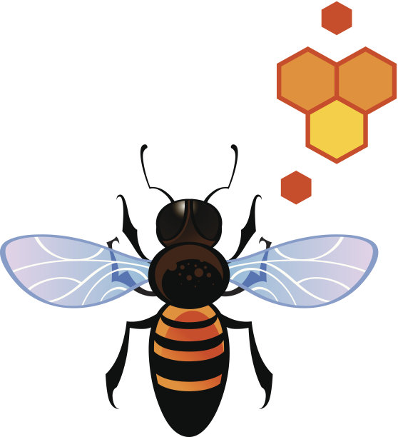 蜜蜂的蜂巢图片下载