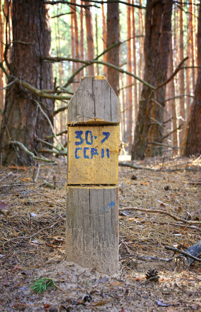 木制标记路标图片下载