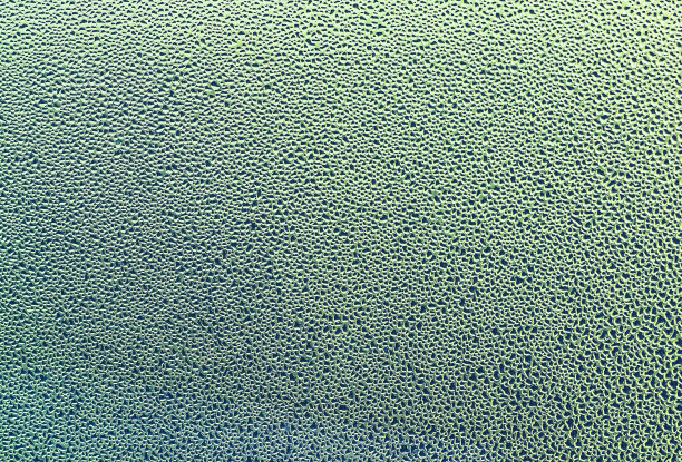 窗口雨后图片下载