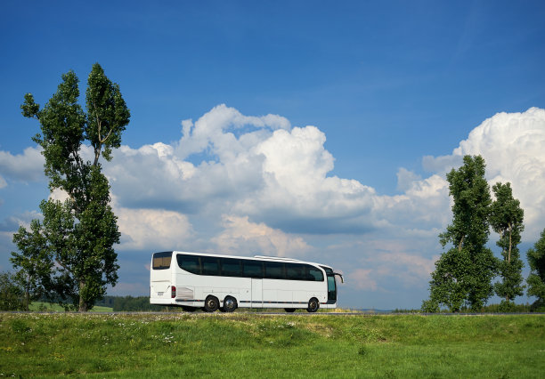 一辆白色公共汽车行驶在两棵大树之间的路上图片下载