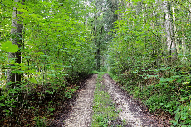 提升跟踪图片下载