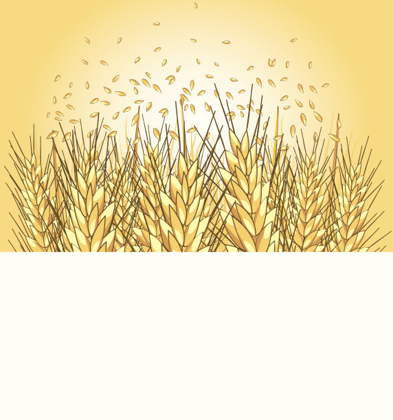 谷物到tramon图片下载