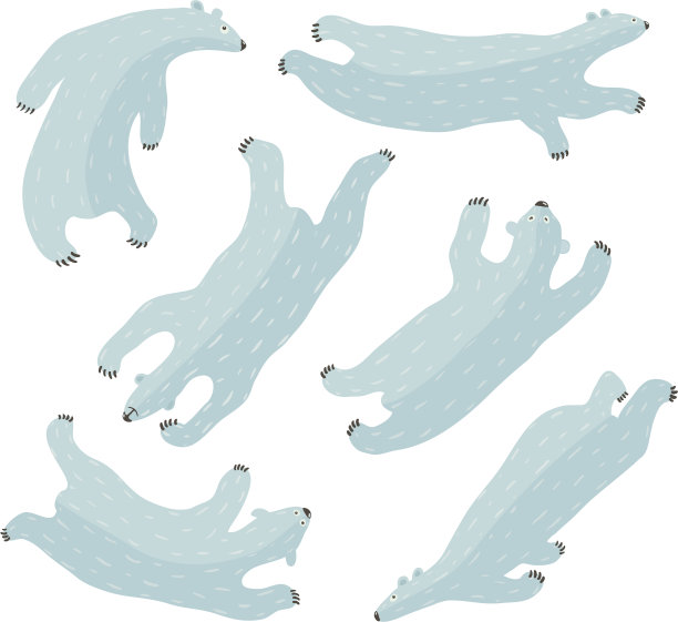 游泳北极熊的收藏素材图片