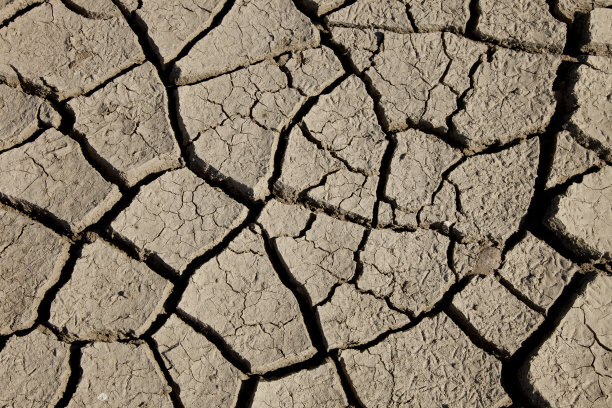 了土壤图片下载