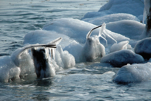 冰冻的海洋图片下载