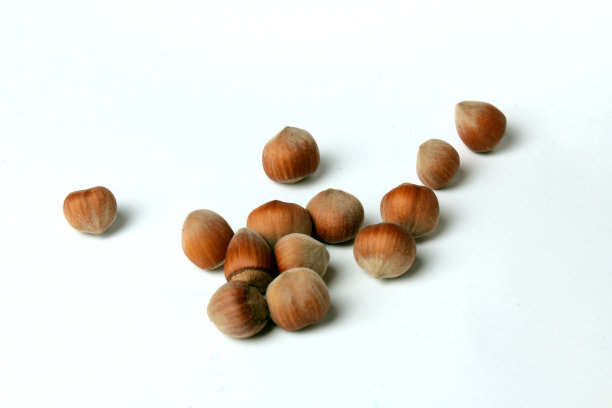榛子孤立图片下载