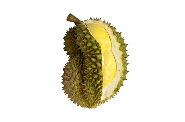 水果之王，榴莲孤立在白色背景上图片下载