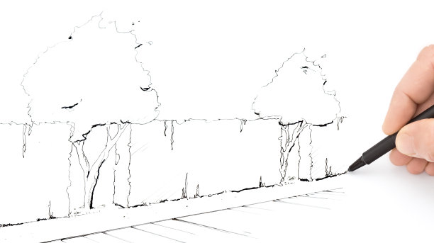 花园设计草图图片下载