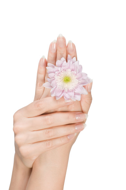 女人的手拿着花图片下载