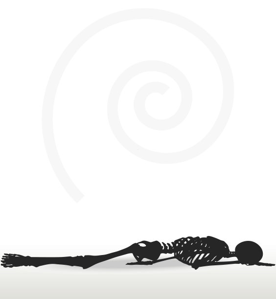 俯卧姿势的骨骼轮廓图片下载