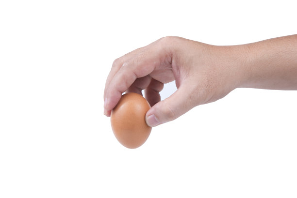 新鲜鸡蛋在一个手孤立在白色背景图片下载