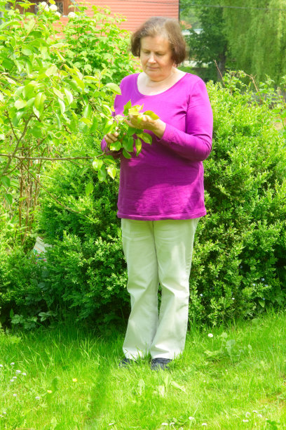花园里的女人图片下载