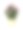 盆栽植物素材图片