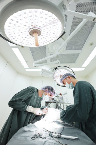 两个兽医在手术室图片下载