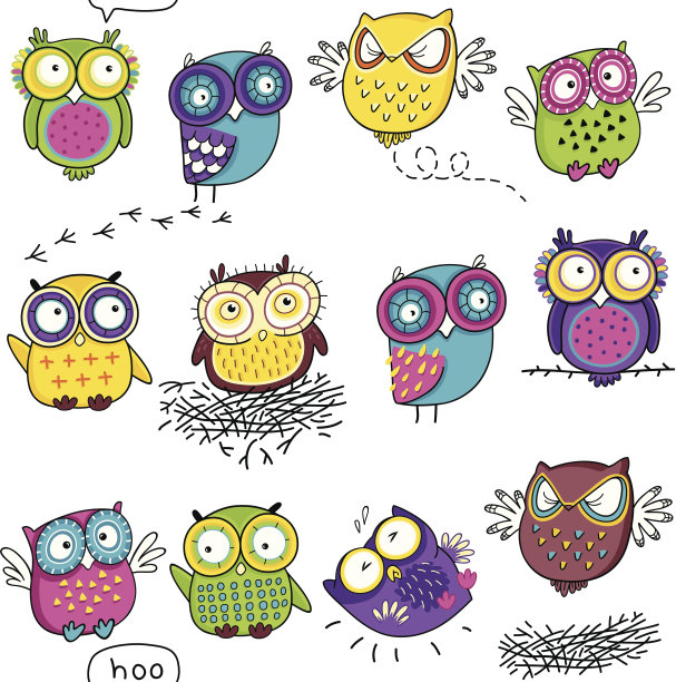 色彩斑斓的猫头鹰图片下载