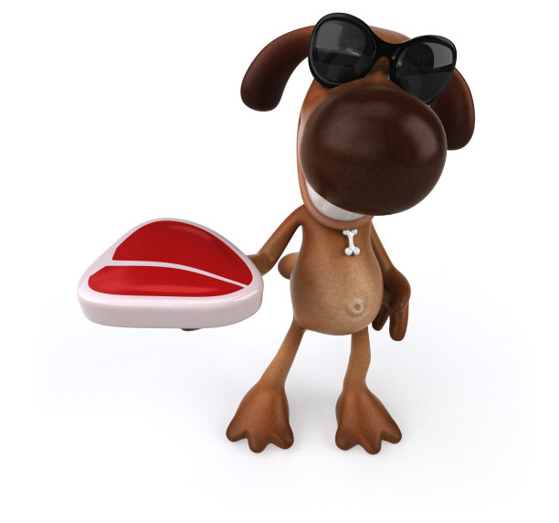 有趣的狗图片下载