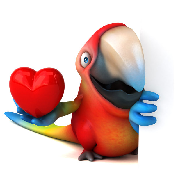 有趣的鹦鹉图片下载