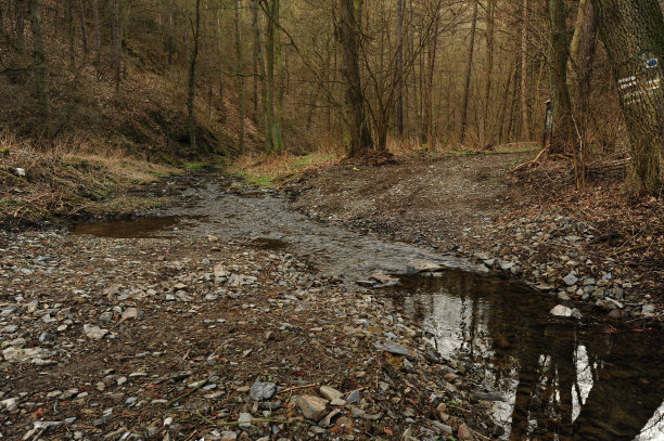 皱着眉头的春日图片下载