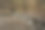 皱着眉头的春日图片下载