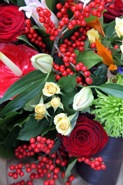 花的细节图片下载