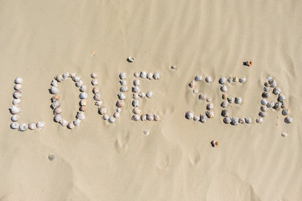 沙滩上的贝壳。夏天海滩背景。俯视图图片下载