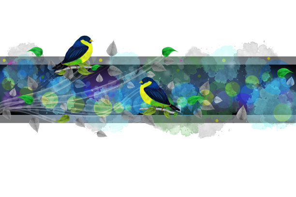 有鸟的亮边图片下载