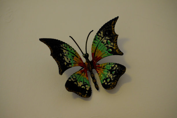 装饰蝴蝶图片下载