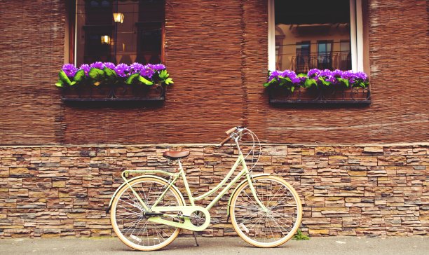 漂亮的复古自行车绿图片下载