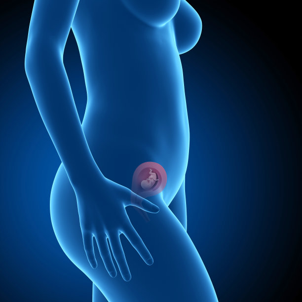 胎儿- 14周图片下载