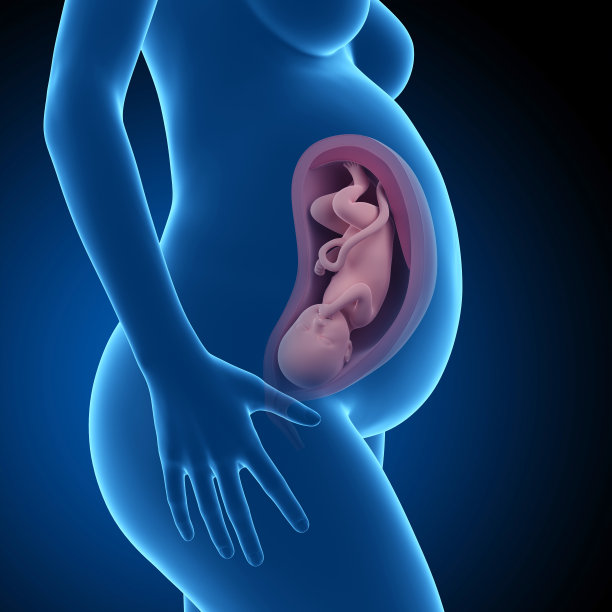 医疗插图图片下载